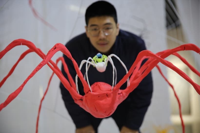 汪子涵