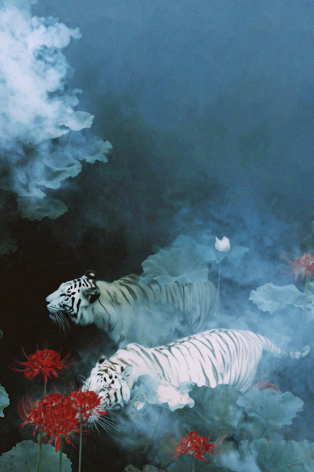 幽梦 · 02