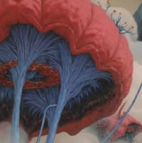 美丽新世界的孤儿 · 02 2